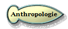  Anthropologie 
